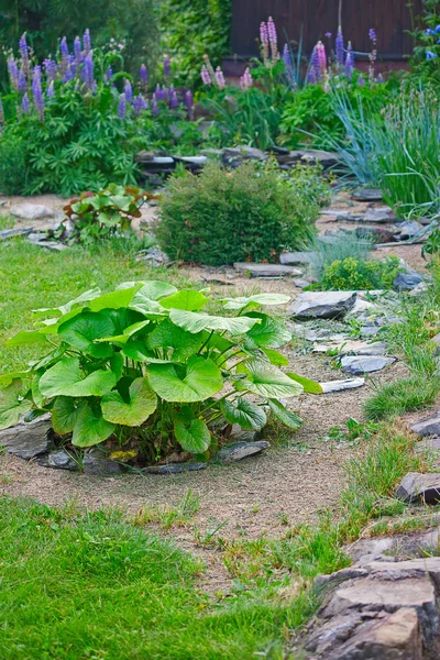 Angolo del giardino — Foto Stock