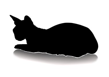 Kedi Silueti