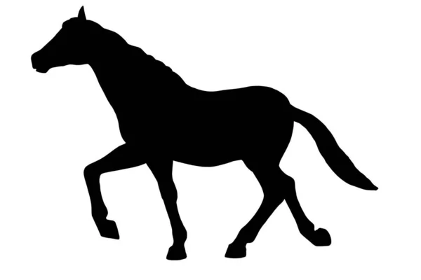 Silhueta Cavalo Corrida Isolada Sobre Fundo Branco — Fotografia de Stock