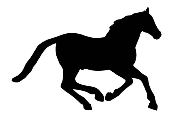 Silhouette Running Horse Isolated White Background — Stock Photo, Image