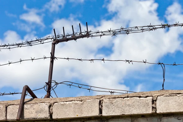 Gammal rostig taggtråd på staketet mot en ljus blå himmel — Stockfoto