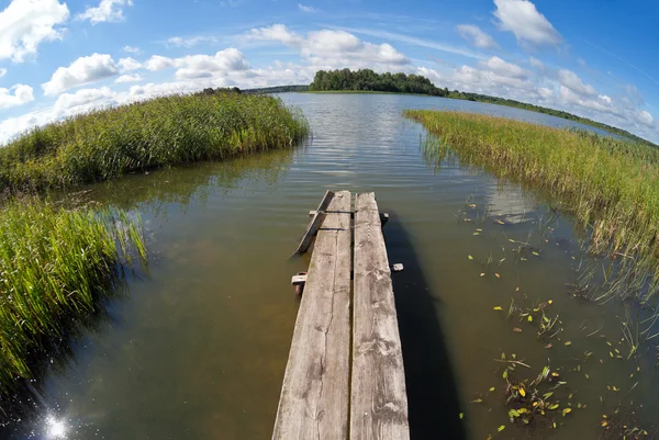 Paisaje de verano con lago y puente de madera —  Fotos de Stock