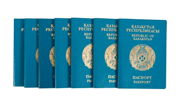 Beyaz zemin üzerine Kazakistan pasaportu — Stok fotoğraf