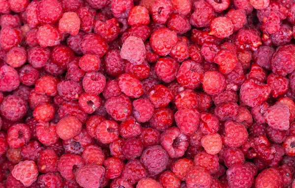 Abstract background from fresh raspberries — Stock Photo, Image
