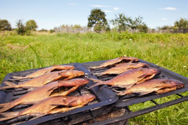 Sadece Rusça nehir yakalanan taze balık füme