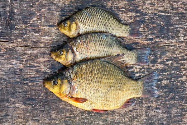 Carpa de peixe de água doce viva em uma tábua de madeira — Fotografia de Stock