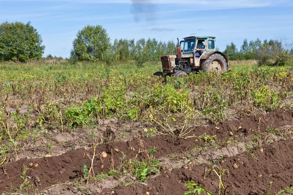 Pole ziemniaków z pracujący traktor — Zdjęcie stockowe