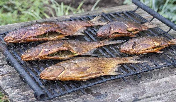 Just smoked fresh fish caught in Russian river — Stock Photo, Image