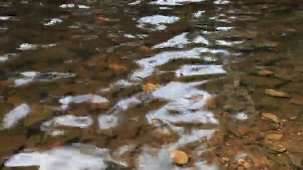 Волны воды — стоковое видео