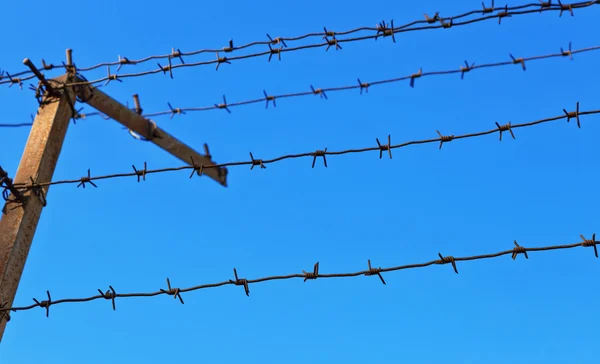 Recinzione filo spinato contro il cielo blu — Foto Stock