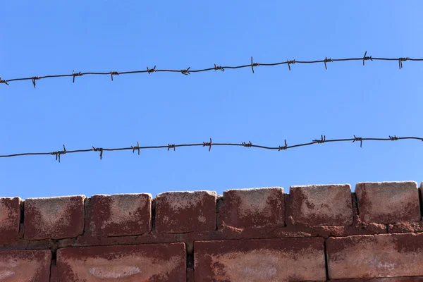 Szögesdrót kerítés a kék ég ellen — Stock Fotó