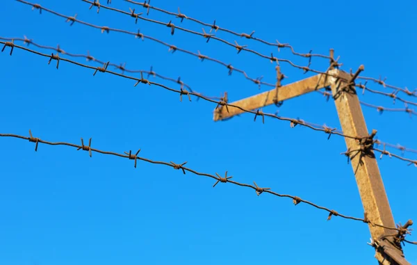 Cerca de alambre de púas contra el cielo azul —  Fotos de Stock