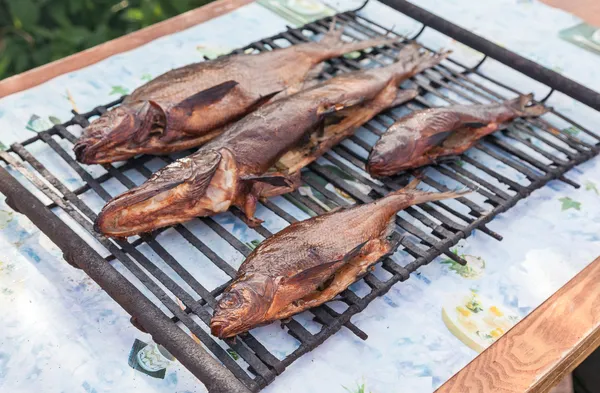 Just smoked fresh fish caught in the river — Stock Photo, Image