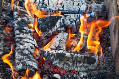 bir kamp ateşi yanan sıcak yangın closeup