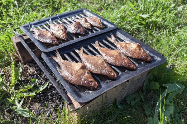 Apenas peixe fresco fumado capturado no rio — Fotografia de Stock