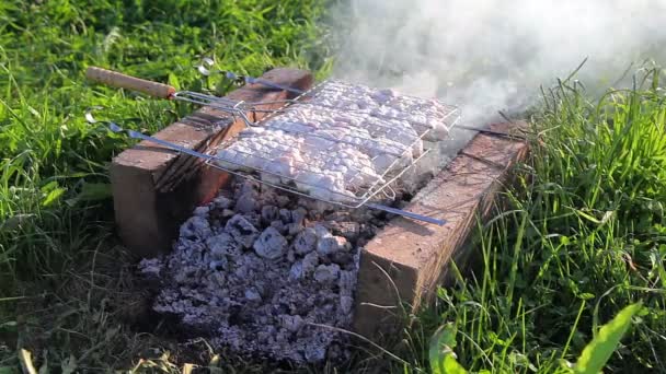 Grilled steak with fire toasted — Stock Video