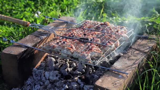 Filete a la parrilla con fuego tostado — Vídeos de Stock