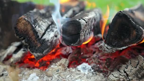 Close-up van een warm vuur branden in een kampvuur — Stockvideo