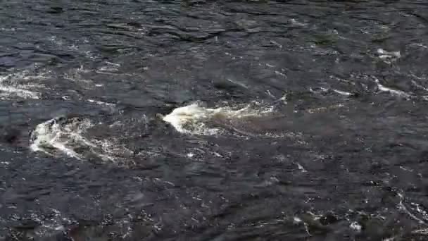 Flusso del fiume d'acqua — Video Stock
