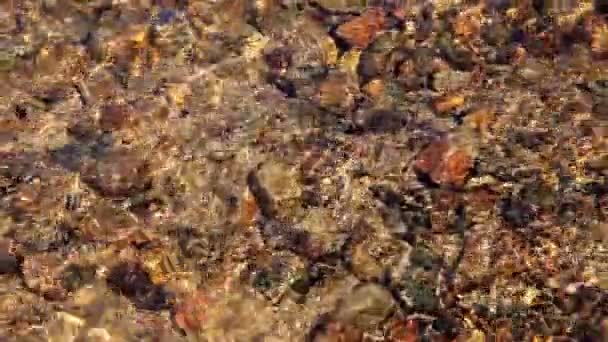 화창한 날에 물 표면 배경 — 비디오