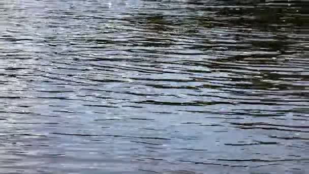 Fond de surface d'eau 