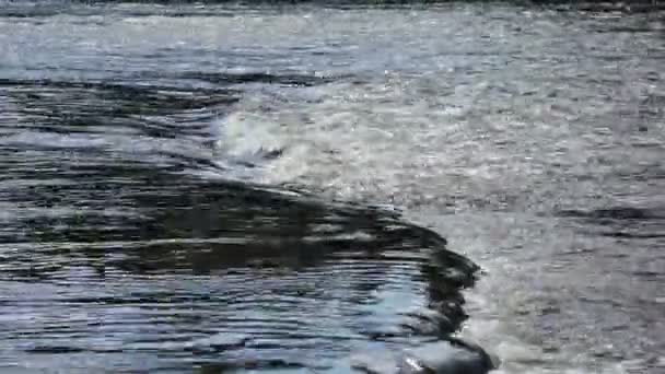Water River Flow — Stock Video