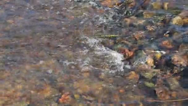 Νερό ροή του ποταμού — Αρχείο Βίντεο