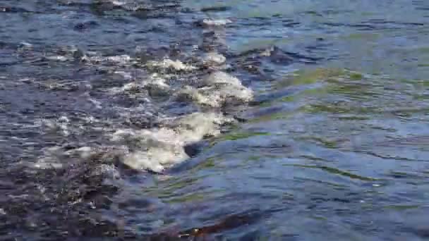 Flusso del fiume d'acqua — Video Stock