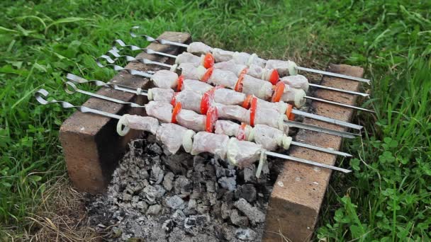 Grilled steak with fire toasted — Stock Video