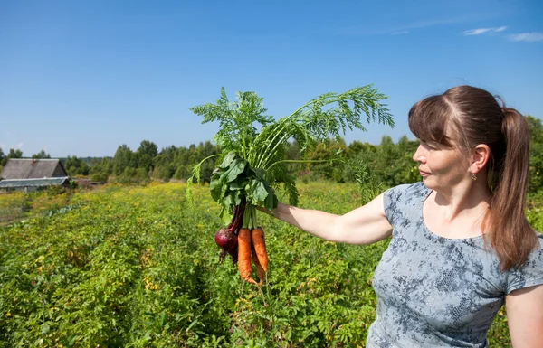 Ung kvinna med massa grönsaker i hand — Stockfoto