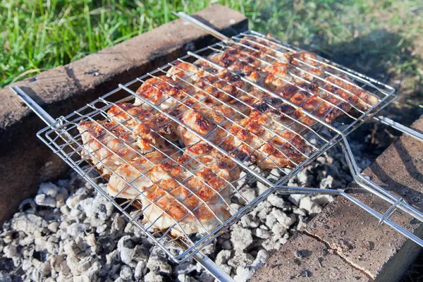 Barbacoa con deliciosa carne a la parrilla — Foto de Stock