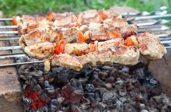 La carne se tuesta en pinchos al aire libre — Foto de Stock