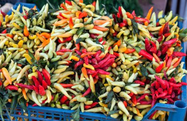 Hot chili biber piyasa yakın çekim
