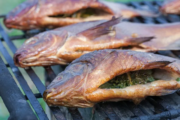Beautiful freshly cooked smoked fish at the outdoor — Stock Photo, Image