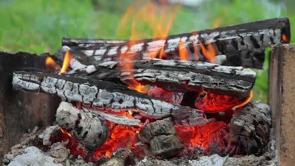 Kamp ateşinde yanan sıcak ateşin yakını — Stok video