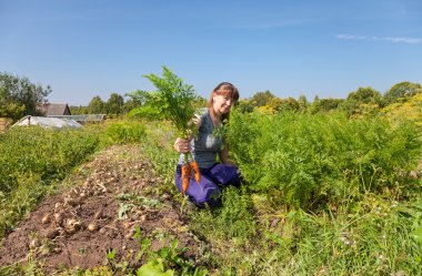 bir demet havuç bahçe içinde tutan genç kadın bahçıvan
