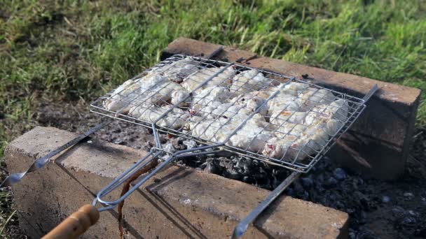 Grillen mit leckerem Grillfleisch auf dem Grill — Stockvideo