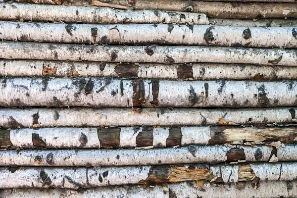 Background of the old birch logs — Stock Photo, Image