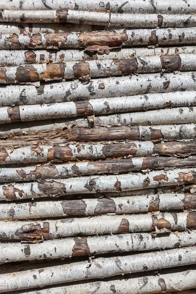 Background of the old birch logs — Stock Photo, Image