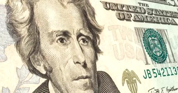 Billete Dólares Con Retrato Del Presidente Jackson Moneda Papel Americano — Vídeo de stock