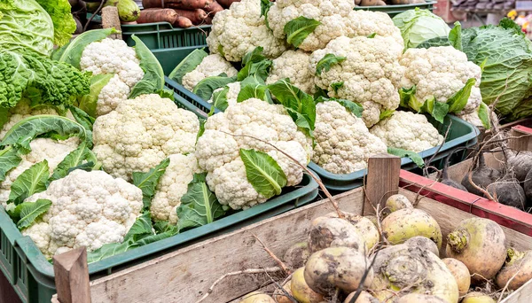 Свежая Цветная Капуста Другие Овощи Нового Урожая Коробках Продаются Местном — стоковое фото