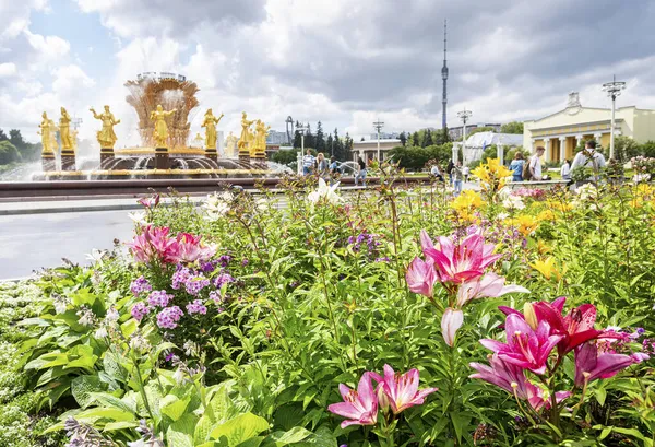 Moskva Ryssland Juli 2019 Dekorativa Blommor Mot Bakgrund Vänskap Folk — Stockfoto