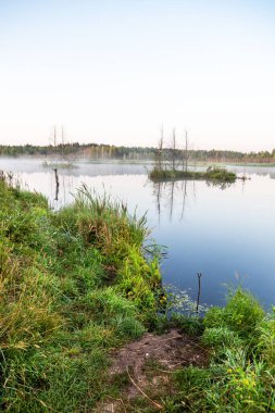 Yaz günü bir orman gölünün üzerinde gün doğumu ve sabah sisi. Suyun üzerinde hafif bir sis var. Suda muhteşem bir yansıma. Sakin, sessiz ve sakin.