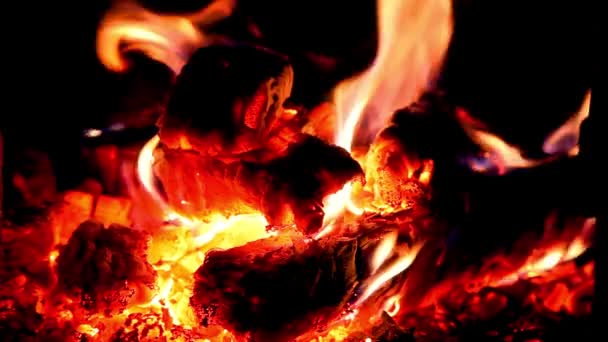 Close Van Een Warm Vuur Brandend Een Kampvuur Brandhout Branden — Stockvideo