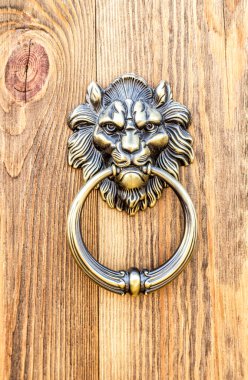 Bronze lion head doorknob close up. Door with brass knocker.