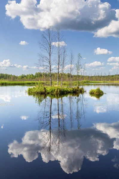 Letní Krajina Lesním Jezerem Mraky Odrážejícími Vodě — Stock fotografie