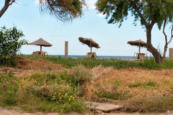 Parasols op het strand — Stockfoto