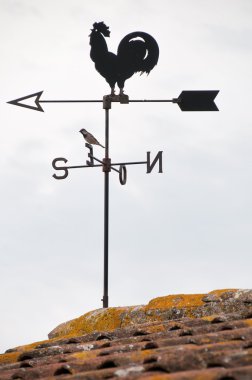 Wind cock weather vane direction clipart