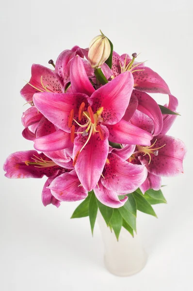 Lilie in der Vase — Stockfoto