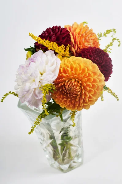 Bouquet of dahlias — Stock Photo, Image
